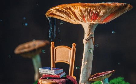 How Long Do Magic Mushrooms Last? Explained. - Azarius